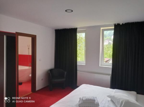Hotels in Sinaia